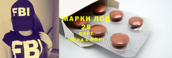мдпв Михайлов