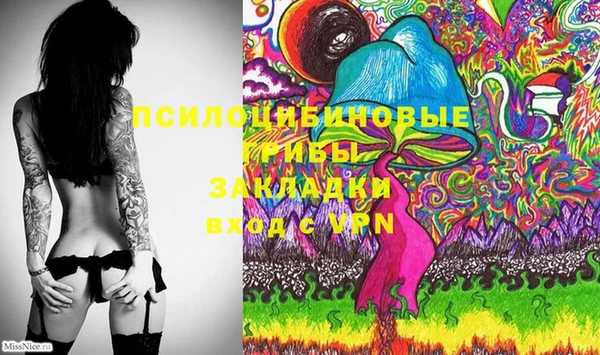 мдпв Михайлов