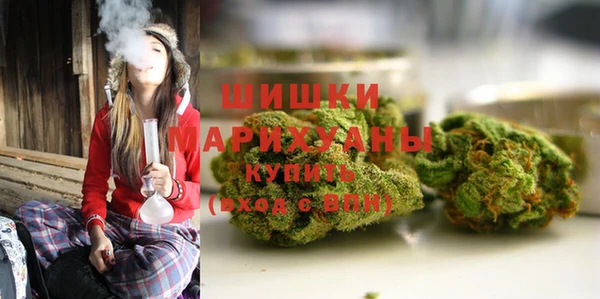 мдпв Михайлов