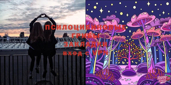 мдпв Михайлов